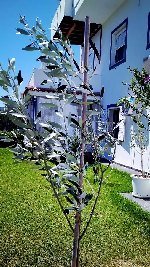 Zephyros Family Apartments 2 Ormos Panagias